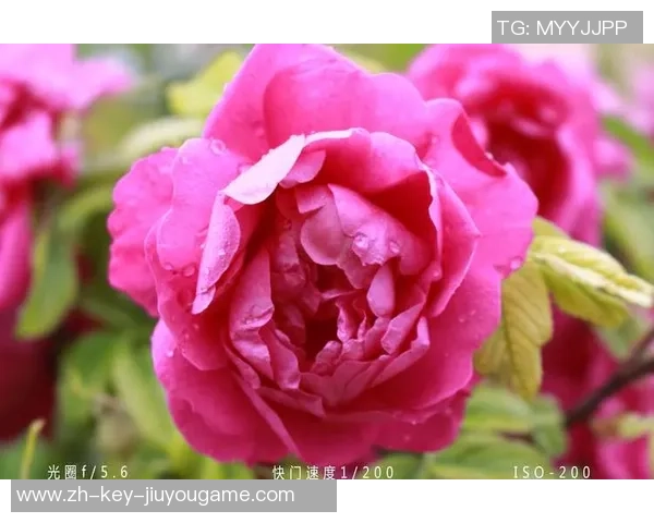 足球张琪的成长之路与未来展望：从青训到职业生涯的精彩旅程